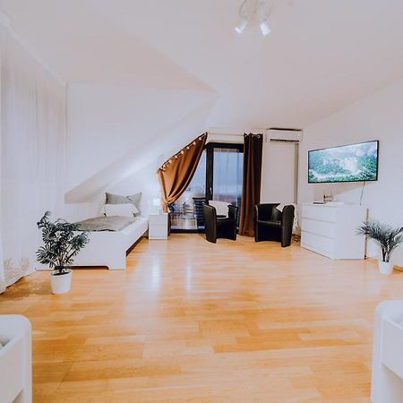 Grosse 3 Zimmer Ferienwohnung Koblenz Wallersheim Mit Pkw Stellplatz المظهر الخارجي الصورة